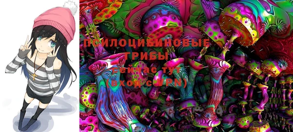 шишки Алексеевка