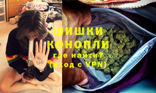 шишки Алексеевка