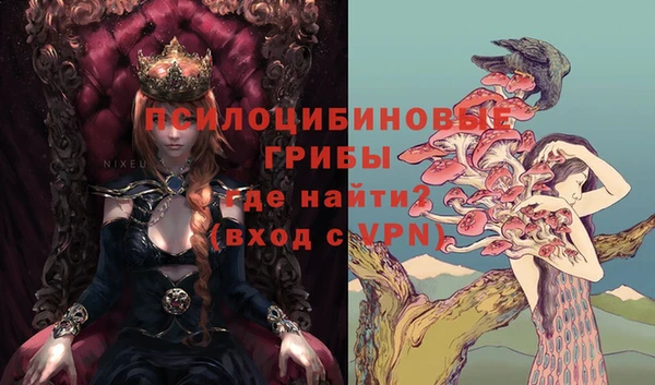 шишки Алексеевка