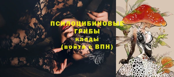 шишки Алексеевка