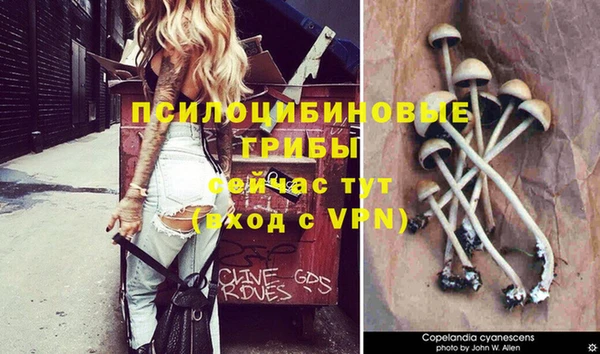 шишки Алексеевка
