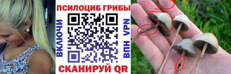 Псилоцибиновые грибы MAGIC MUSHROOMS  darknet состав  Кемь 