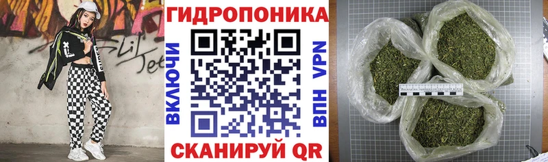 закладка Кемь Бошки марихуана THC 21%